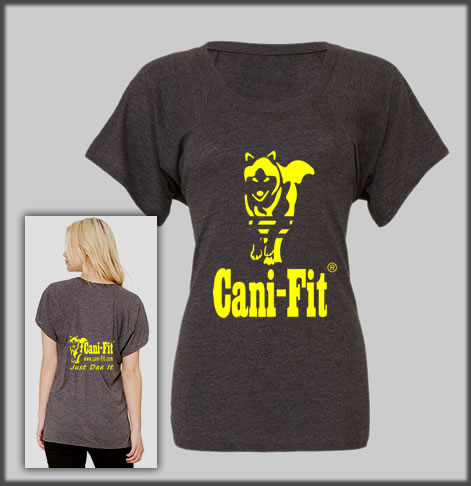 Cani Fit Flowy Raglan T Shirt